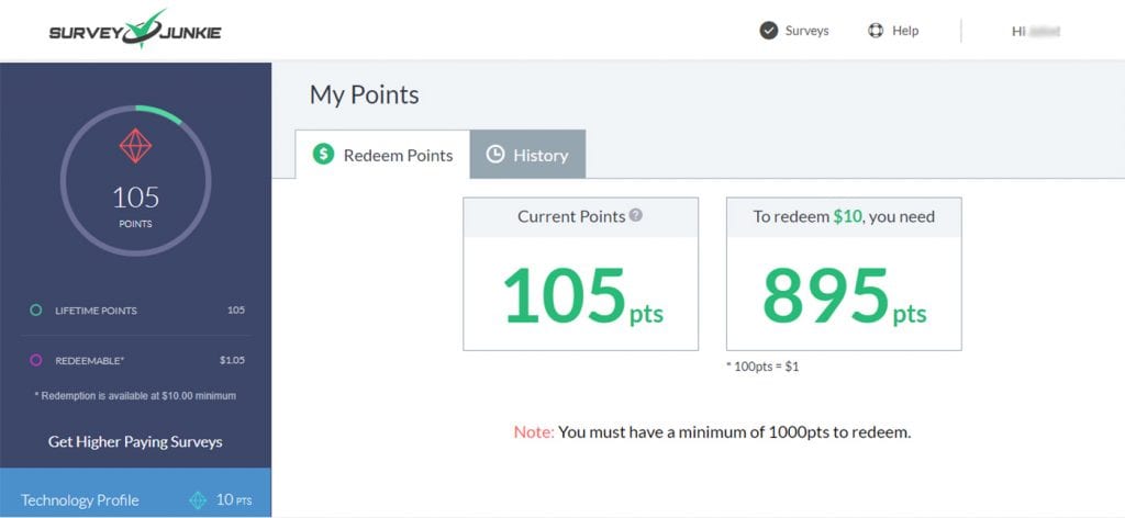 Survey Junkie Review Redeem Points